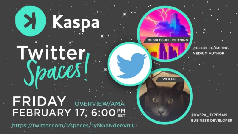 Kaspa Twitter Space Recap